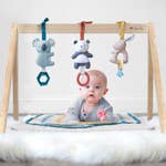 Wooden Activity Gym