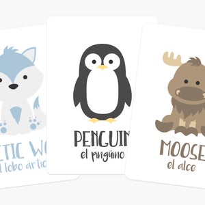 Artic Animals Flash Cards