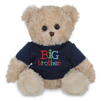 Big Brother Teddy