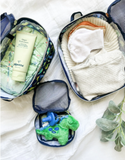 Raining Dinos Packing Cubes by Itzy Ritzy
