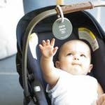 Count On It Teething Flashcards