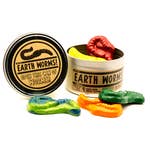 Earth Worm Tin of Recycled Crayons