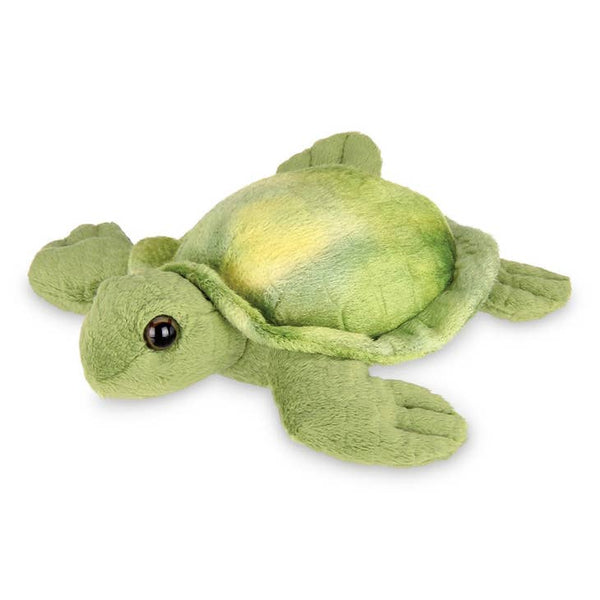 Shelton the Sea Turtle