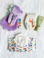 Darling Dinos Reusable Wipe Pouch