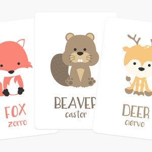 Woodland Animal Flashcards