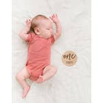 Wooden Monthly Photo Props