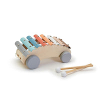 Pull Along Xylophone Roller